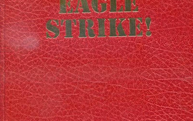 Front cover of Eagle Strike! by Jan D. Breytenbach