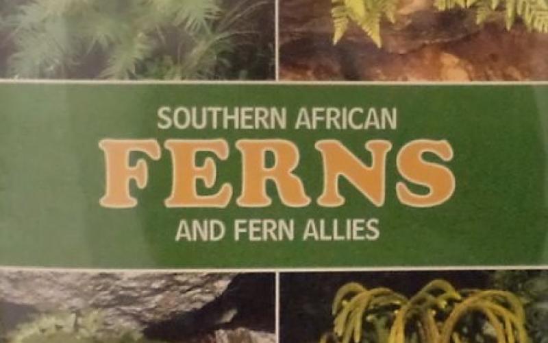 Front cover of Southern African Ferns and Fern Allies by J. E. Burrows