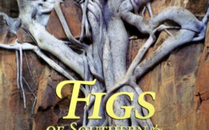 Front Cover of Figs Of Southern And South-Central Africa by John & Sandra Burrows