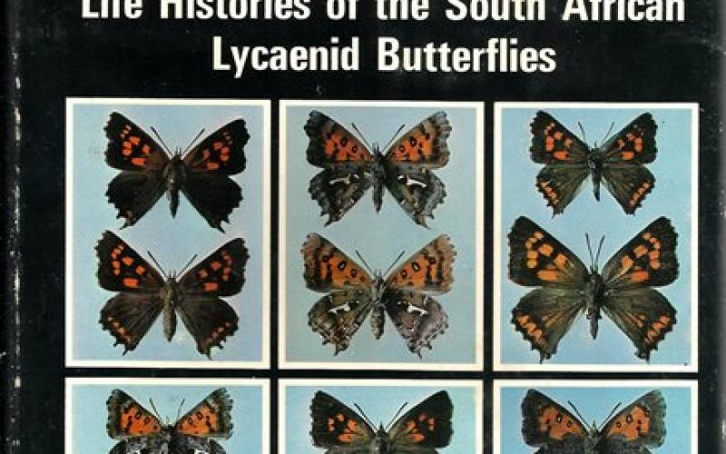 Front Cover of Life Histories of the South African Lycaenid Butterflies by G. C. Clark & C. G. C. Dickson