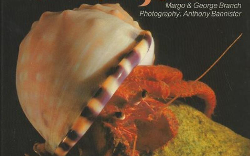 Front Cover of The Living Shores of Southern Africa by Margo & George Branch