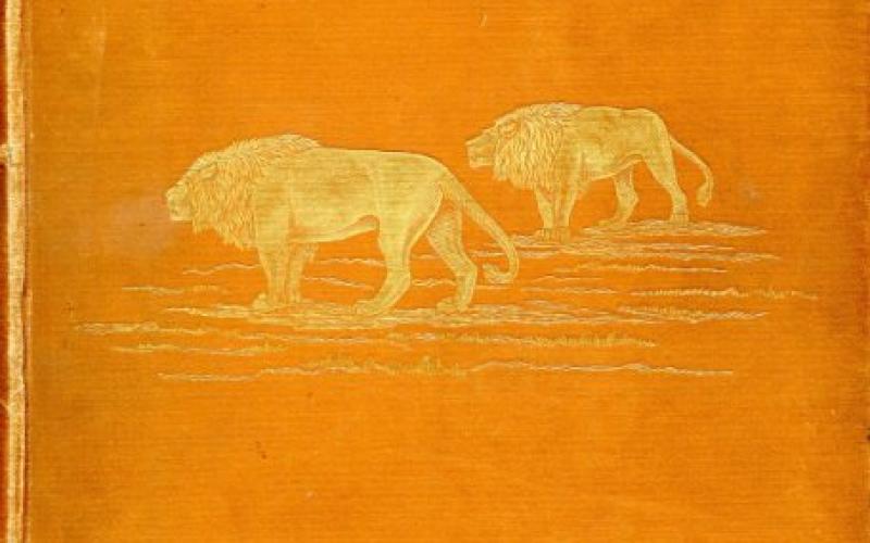 Front cover of Travel And Adventure In South-East Africa by F.C. Selous