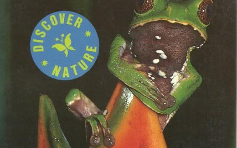 Front Cover of Amazon Wildlife created by Hans Hofer