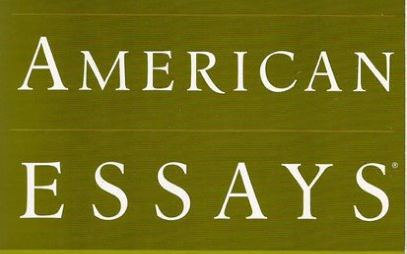 Front cover of The Best American Essays 2013 by Cheryl Strayed