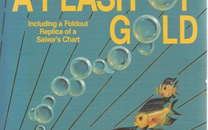 Front Cover of Diving to a Flash of Gold by Martin Meylach