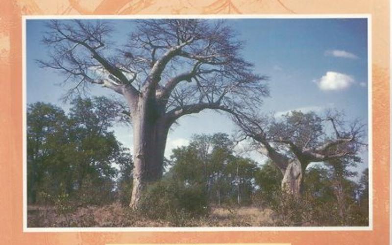 Front Cover of The Kruger National Park by Jane Carruthers
