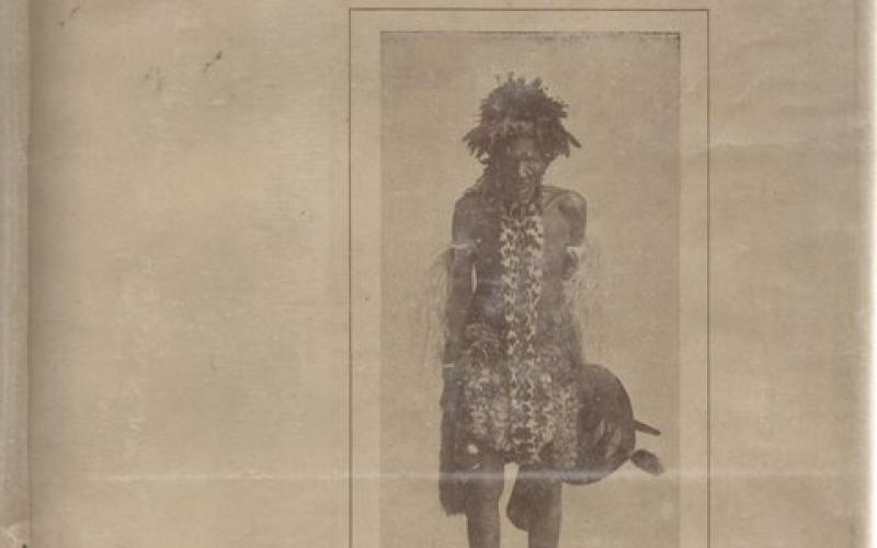 Front Cover of Zulu References by Carl Faye